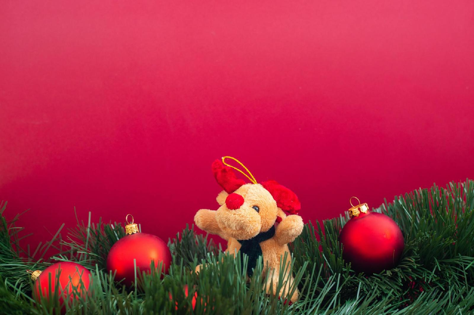 Guide cadeaux de Noël, les plus beaux jeux et jouets sur les